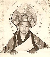 仁波切坐床，1972年